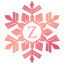 Znowsoft Logo